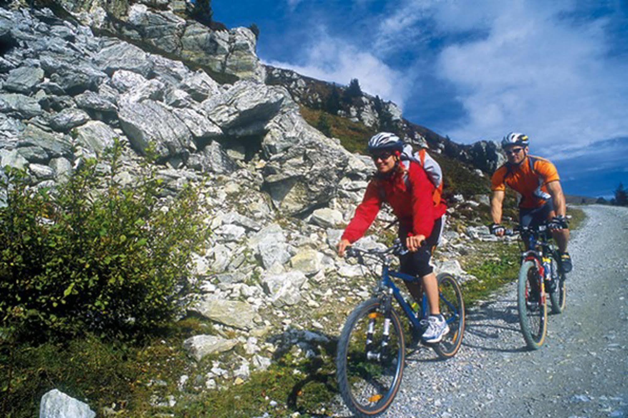 Apartments Rosenhof Mayrhofen Dış mekan fotoğraf